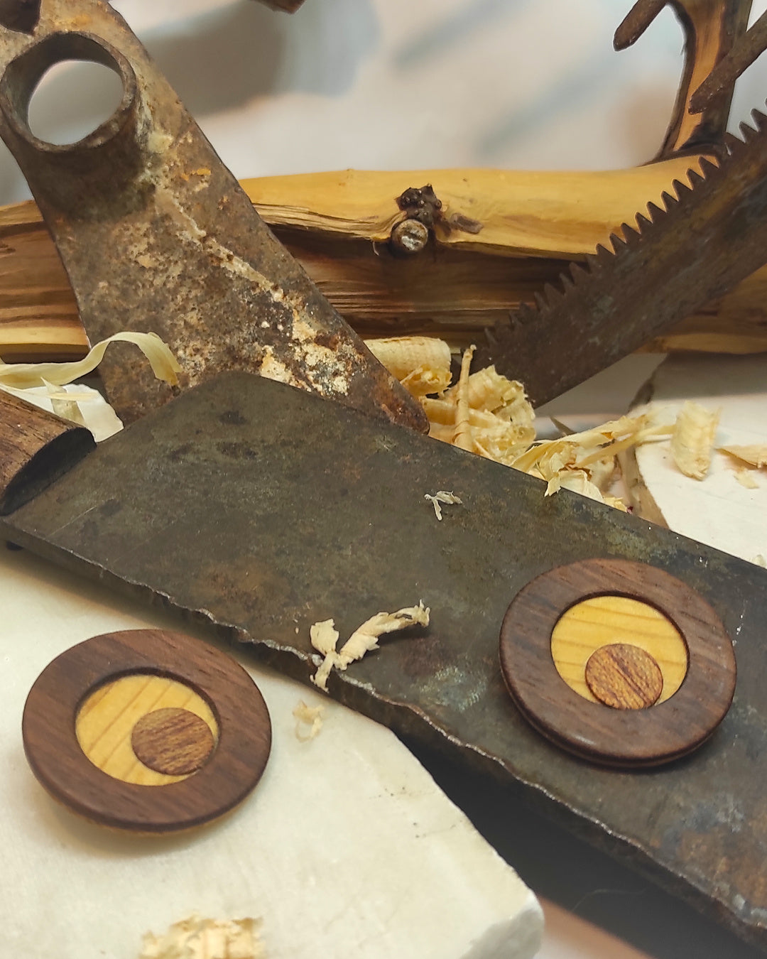 Round stud earrings  "The Pine Eye" from Pine, Iroko and Meranti wood